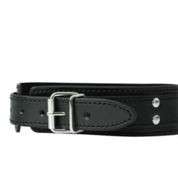 Premium Collar W/ Nipple Clamp - Image 4