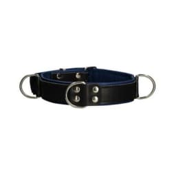 Premium Leather Bondage Collar - Black/blue, image 2
