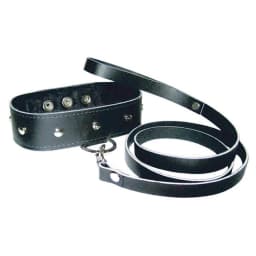 Premium Leather Leash & Collar, image 1