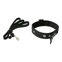 Premium Leather Leash & Collar, image 2