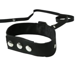 Premium Leather Leash & Collar, image 4