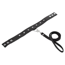 Premium Leather Leash & Collar, image 9