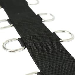 Premium Neck & Wrist Restraint, image 3