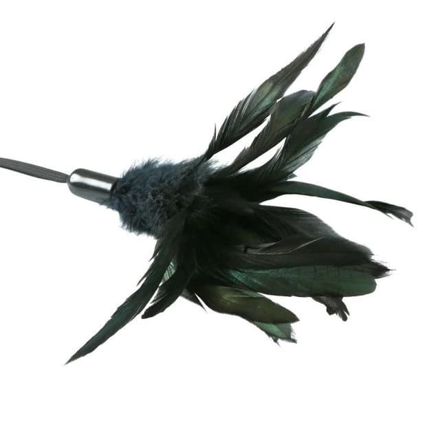 PREMIUM PLEASURE FEATHER BLACK  - Image 1