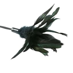 Premium Pleasure Feather, image 1