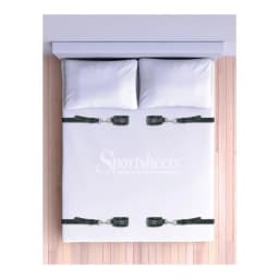 Premium Under the Bed Restraint System, image 3