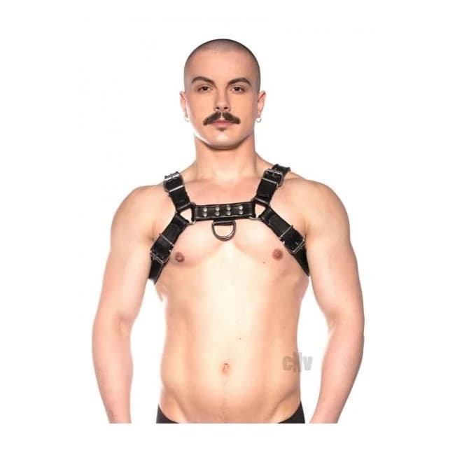 Prowler Red Bull Harness Black Sm - Image 1