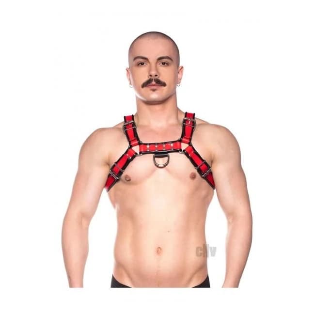 Prowler Red Bull Harness Blk/red Lg - Image 1