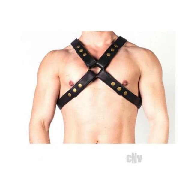 Prowler Red X Harness Blk/brs Xxl - Image 1