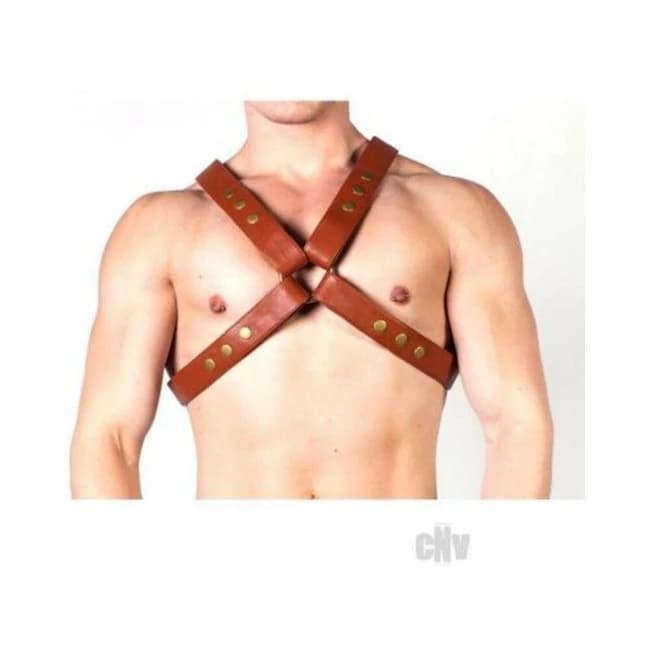 Prowler Red X Harness Brn/brs Xxl - Image 1