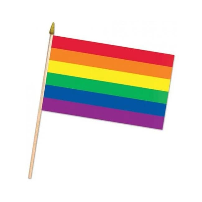 Rainbow Fabric Flag - Image 1