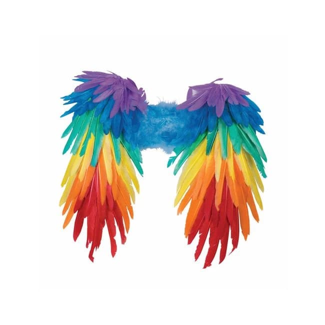 Rainbow Feather Wings - Image 1