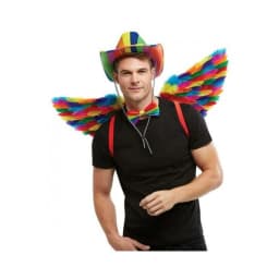 Rainbow Large Feather Wings, image 1