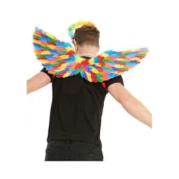 Rainbow Large Feather Wings, image 2