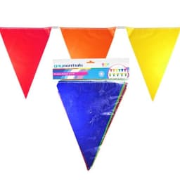 Rainbow Solid Pennants, image 2