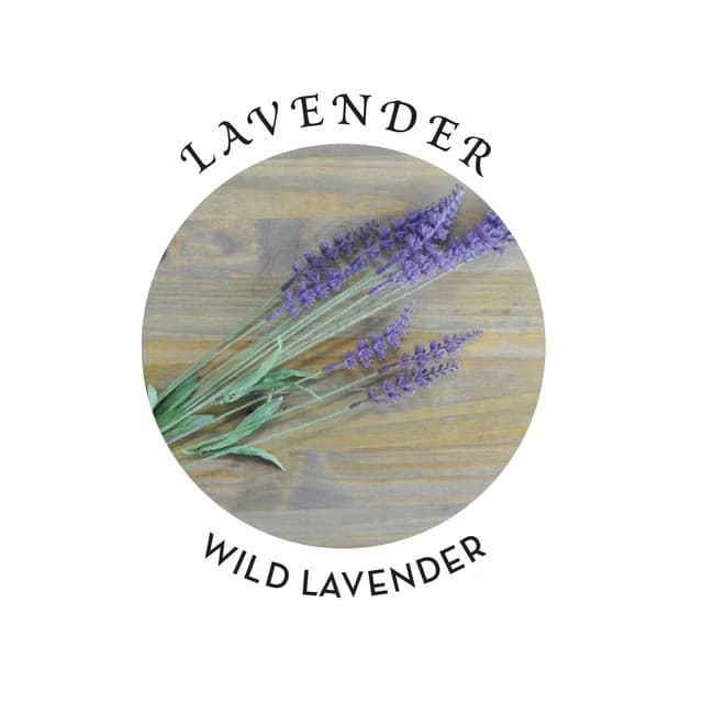 RELAXING MASSAGE & BODY OIL LAVENDER 2 OZ  - Image 1