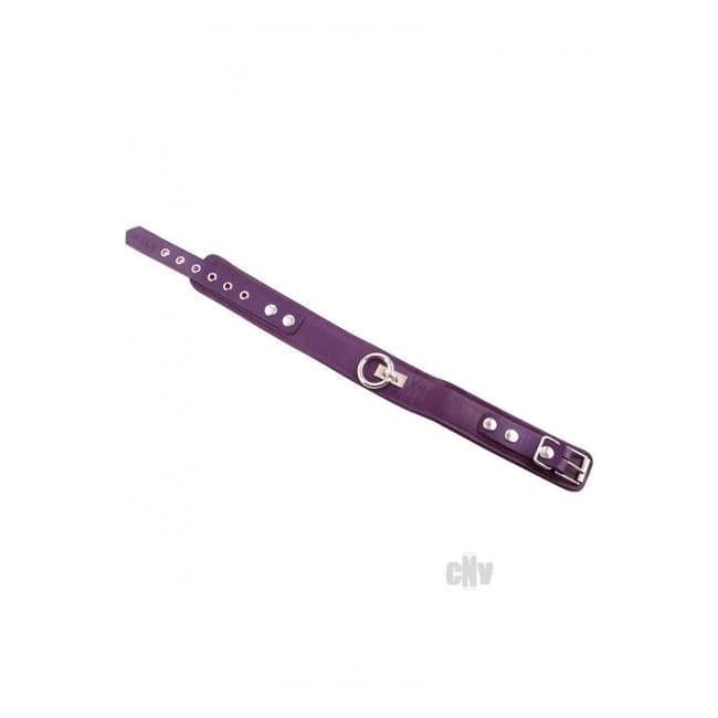 Rouge Plain Collar 1 Ring Purple - Image 1