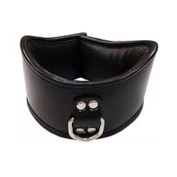 Rouge Posture Collar with 1 D-Ring, image 1
