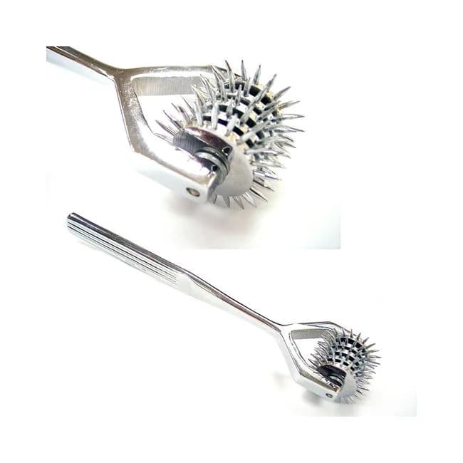 Rouge Stainless Steel 5 Pinwheel - Image 1