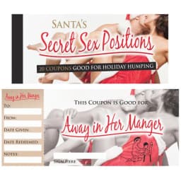 Santas Secret Sex Position Coupons - Image 2
