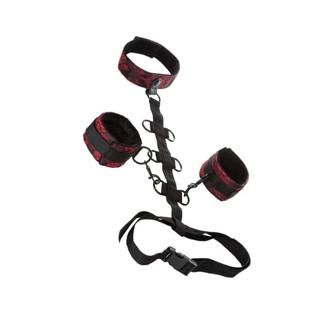 Scandal Collar Body Restraints - Image 1