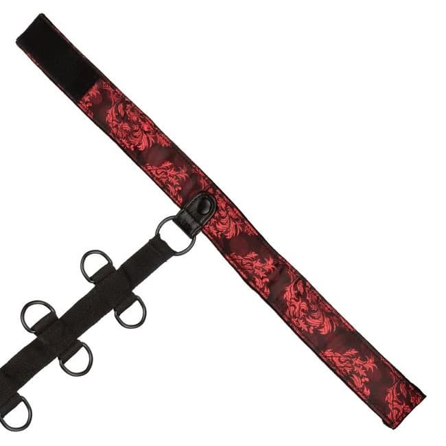 Scandal Collar Body Restraints - Image 10