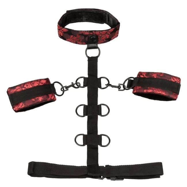 Scandal Collar Body Restraints - Image 6