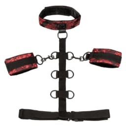 Scandal Collar Body Restraints, image 6