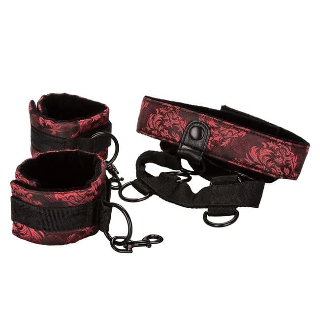 Scandal Collar Body Restraints - Image 8
