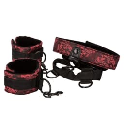 Scandal Collar Body Restraints, image 8
