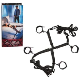 Scandal Over the Bed Cross - Image 2
