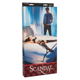 Scandal Over the Bed Cross - Image 3