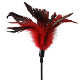Sex & Mischief Feather Slapper, image 4