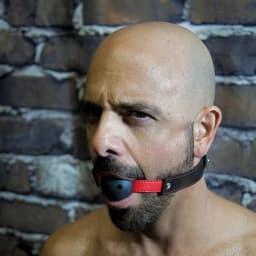 Sex & Mischief Hush Ball Gag - Image 5