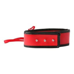 Sex & Mischief Red Leash & Collar - Image 3