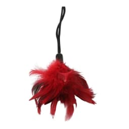 Sexy Submissive Kit, image 4