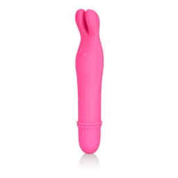 Shane's World Bedtime Bunny Pk, image 1