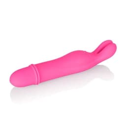 Shane's World Bedtime Bunny Pk, image 5