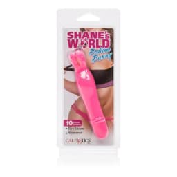 Shane's World Bedtime Bunny Pk, image 6