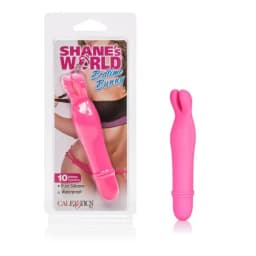 Shane's World Bedtime Bunny Pk, image 8