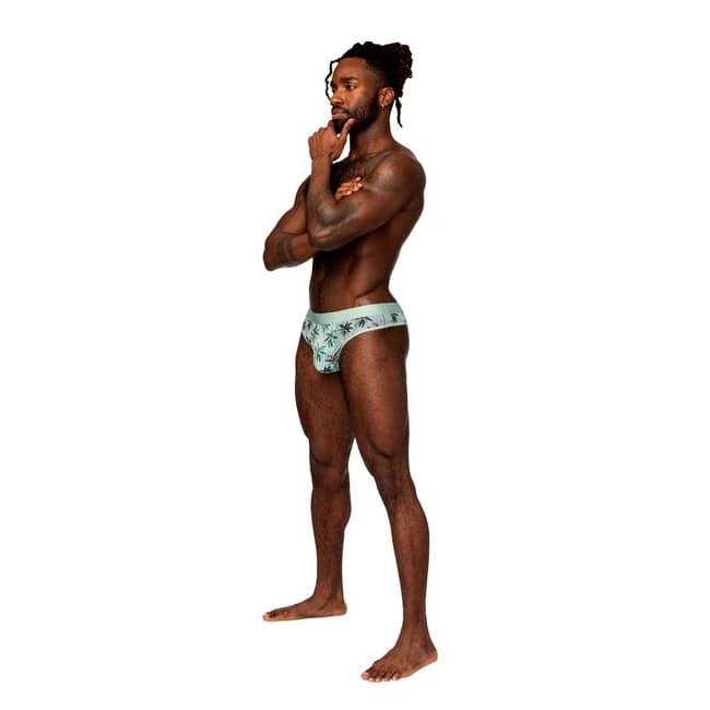 Sheer Prints Thong Flamingo - L/XL - Image 1