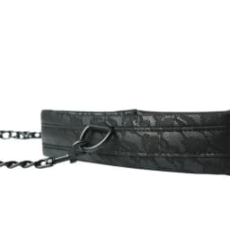 Sincerely Lace Collar & Leash, image 3