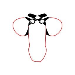 Soft Figure 8 C&b Toy, image 4