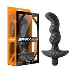 Spark Ignition Prv-02, image 5