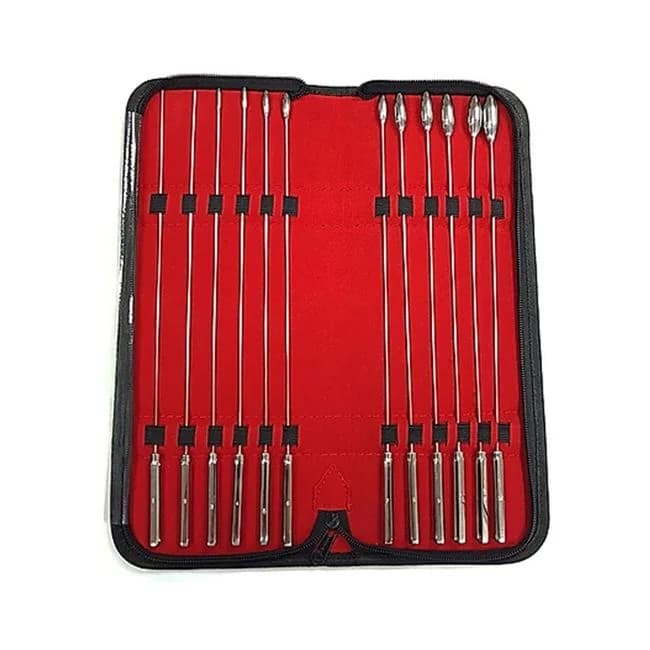Stainless Steel 12-piece Rosebud Dilator Set - Image 1