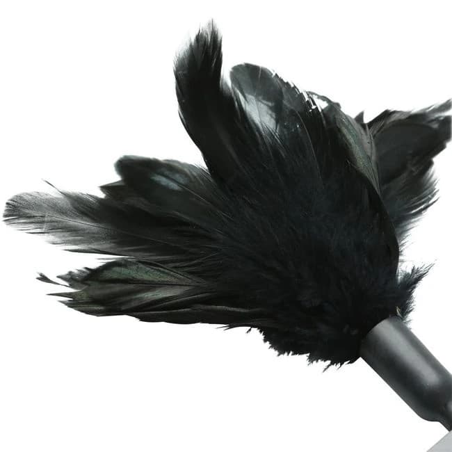 STARBURST FEATHER BLACK  - Image 1