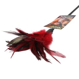 Starburst Feather, image 2