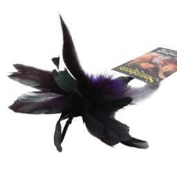Starburst Feather, image 3