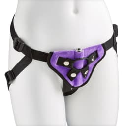 Strap-on Harness Kit, image 2