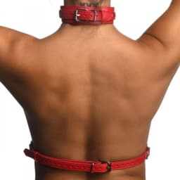 Strict Female Chest Harness M/L Red, image 4